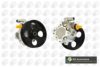 CITRO 40076A Hydraulic Pump, steering system